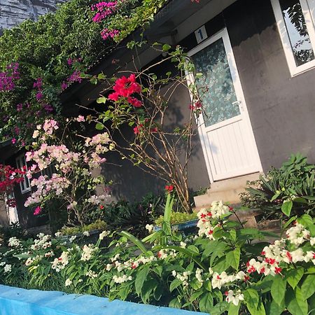 Cat Ba Countryside Homestay Dong Khe Sau Eksteriør billede
