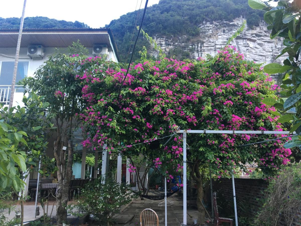 Cat Ba Countryside Homestay Dong Khe Sau Eksteriør billede
