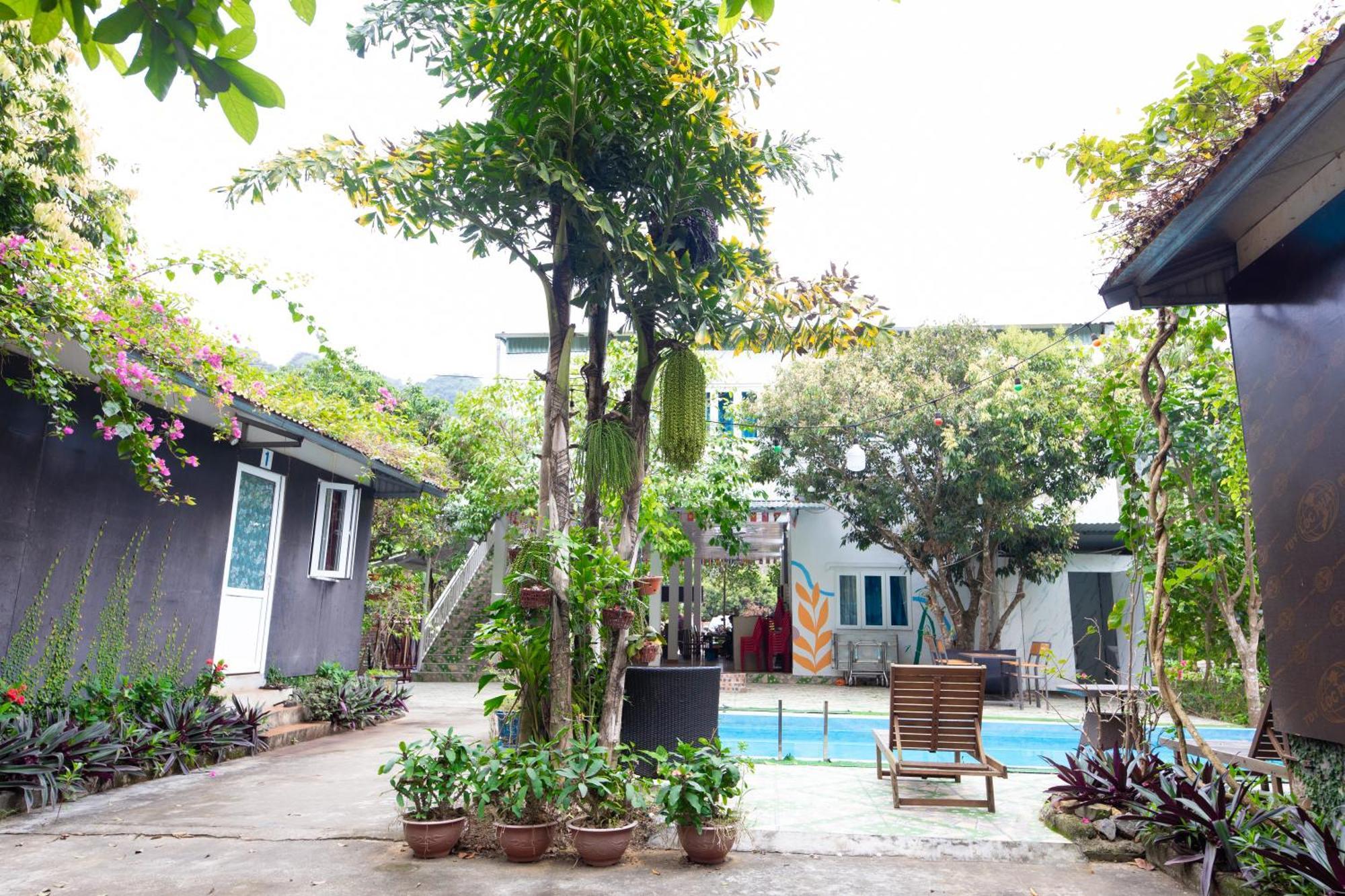 Cat Ba Countryside Homestay Dong Khe Sau Eksteriør billede