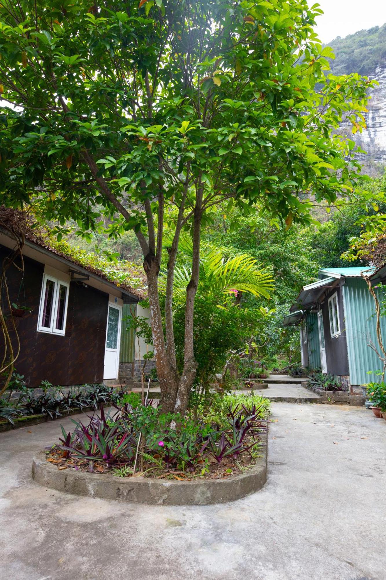 Cat Ba Countryside Homestay Dong Khe Sau Eksteriør billede